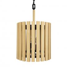 Varaluz 387P02MBH - Suratto 2 Light   Pendant - Matte Black/Honey Blonde