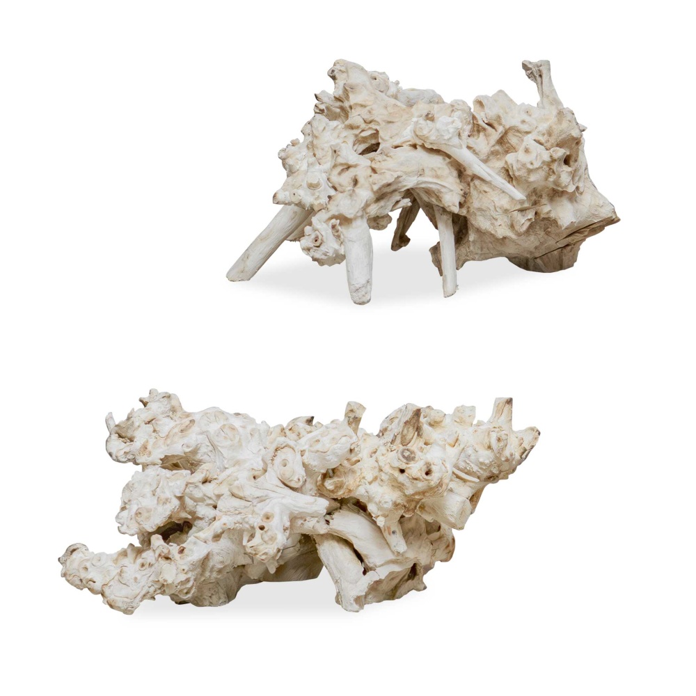 Uttermost Elemental Root Outdoor Sculptures Set/2