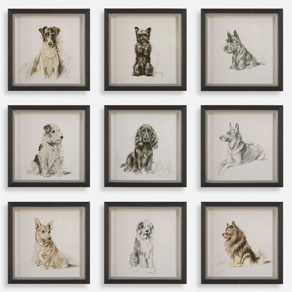 Uttermost Loyal Companion Framed Dog Prints Set/9