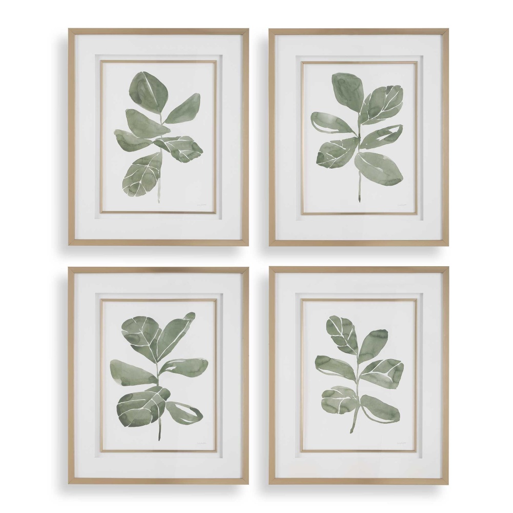 Uttermost Fiddle Head Leaf Botanical Prints Set/4