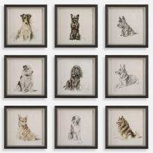 Uttermost 32344 - Uttermost Loyal Companion Framed Dog Prints Set/9