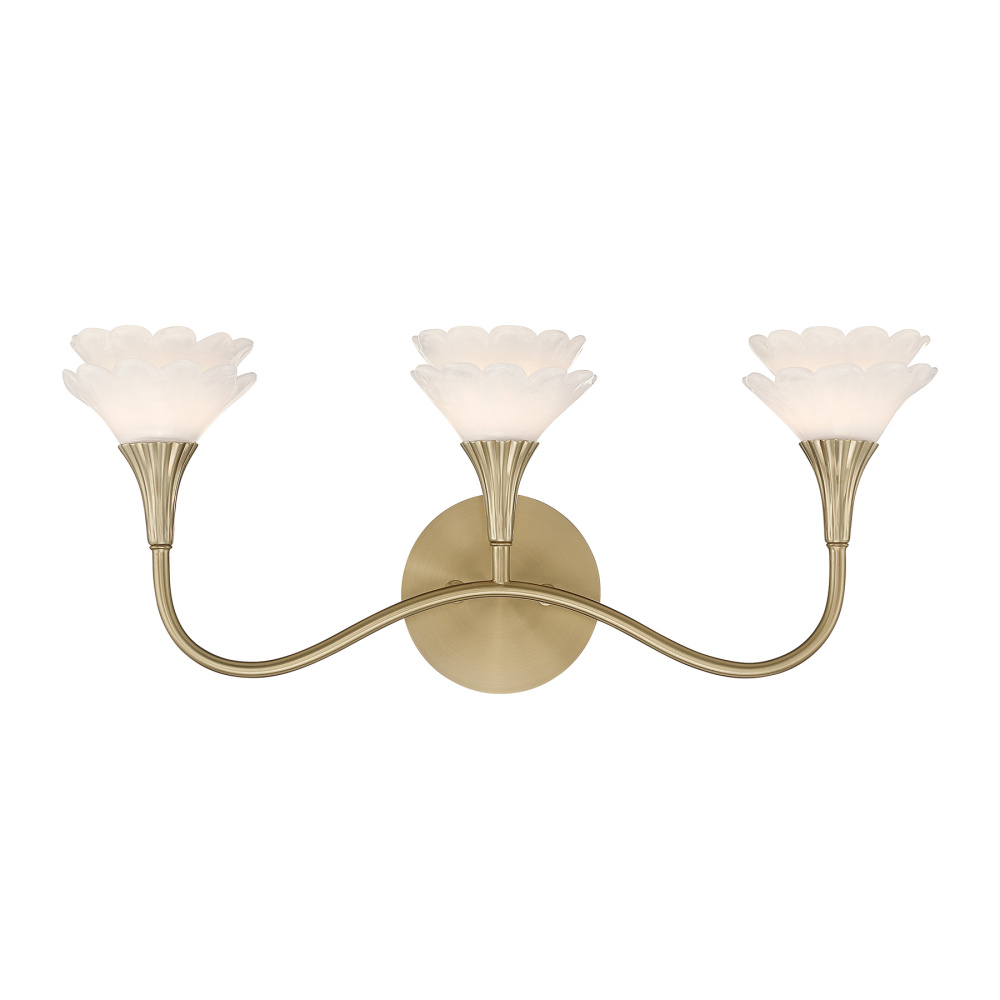 Florena 3-Light Bathroom Vanity Light in Noble Brass by Breegan Jane
