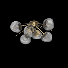 Hammerton CLB0095-02-GB-ZS-L3 - Luna Flush Starburst