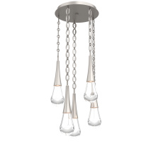 Hammerton CNB0078-05-BS-C-CH2-L1 - Raindrop Round 5pc Multi-Pendant with Chain