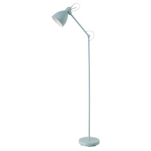Eglo 205969A - 1L Floor Lamp