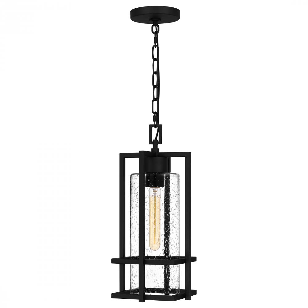 Damien 1-Light Earth Black Outdoor Hanging Lantern