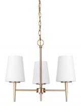 Generation Lighting 3140403-848 - Driscoll Three Light Chandelier