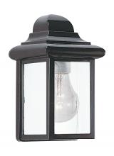 Generation Lighting 8588-12 - Mullberry Hill One Light Outdoor Wall Lantern