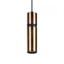 Avenue Lighting HF1076-BBK - Cicada 10" Smooth  Pendant in Brass with Black