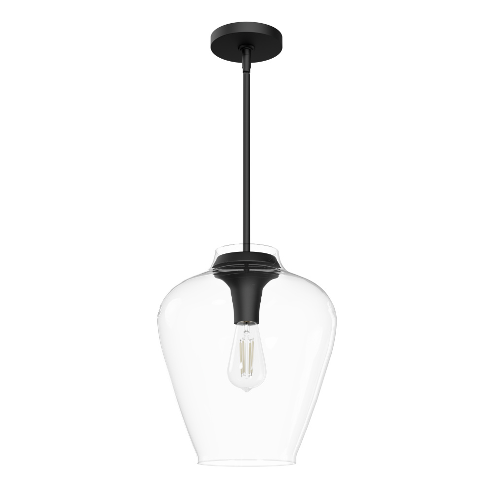 Hunter Vidria Matte Black with Clear Glass 1 Light Pendant Ceiling Light Fixture