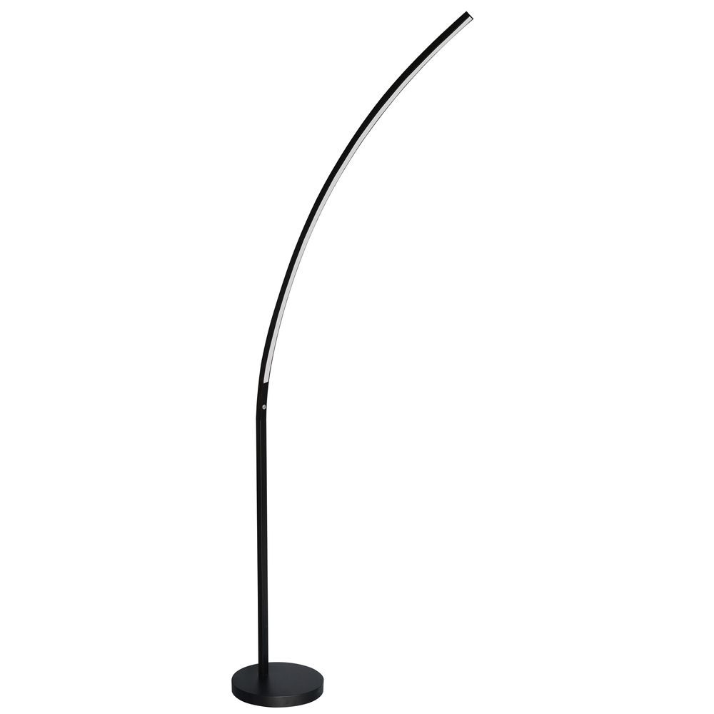 19W Floor Lamp Matte Black Finish