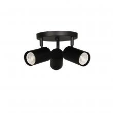 Dainolite TAY-123SF-MB - 3LT Spot Light, MB